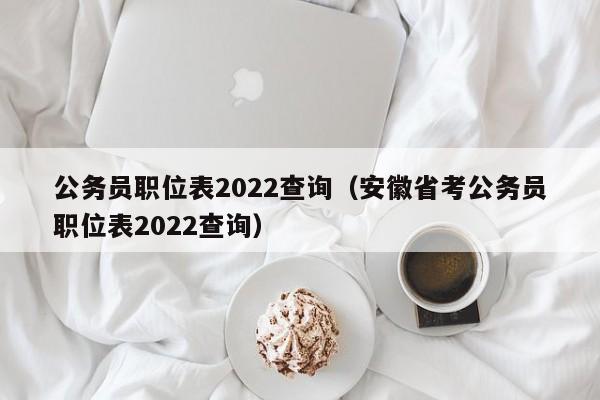 公务员职位表2022查询（安徽省考公务员职位表2022查询）